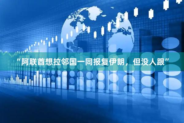 “阿联酋想拉邻国一同报复伊朗，但没人跟”