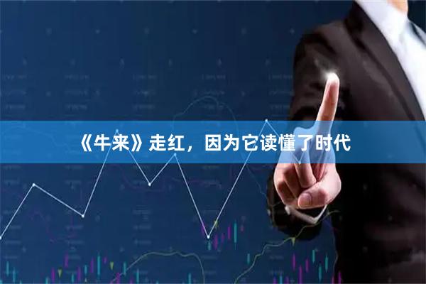 《牛来》走红，因为它读懂了时代