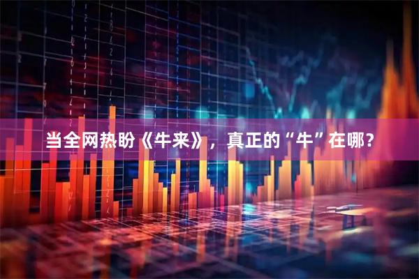 当全网热盼《牛来》，真正的“牛”在哪？